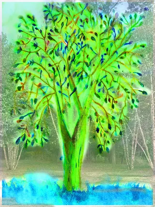 A bright green watercolor tree painted by Marilyn, layered over a photograph of a grove